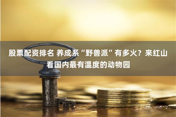 股票配资排名 养成系“野兽派”有多火？来红山看国内最有温度的动物园