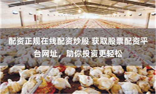 配资正规在线配资炒股 获取股票配资平台网址,助你投资更轻松