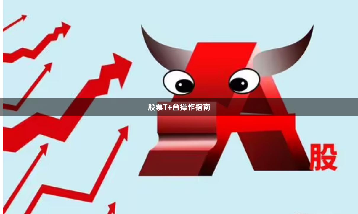 股票T+台操作指南